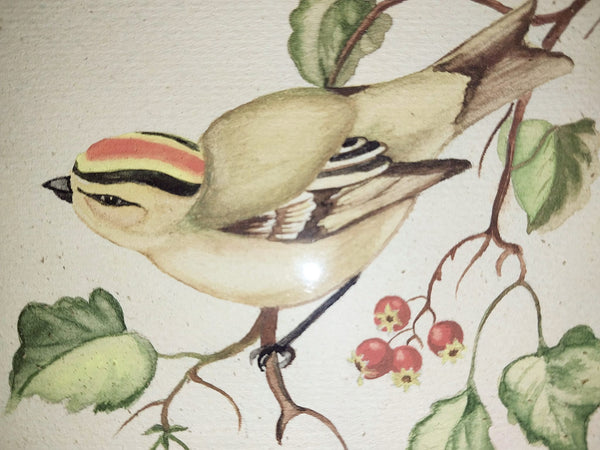 Tasha Tudor Original Vintage Antique America Illustration Watercolor Rockefeller Christmas "Golden - Crowned Kinglet" With Holly Watercolor Painting