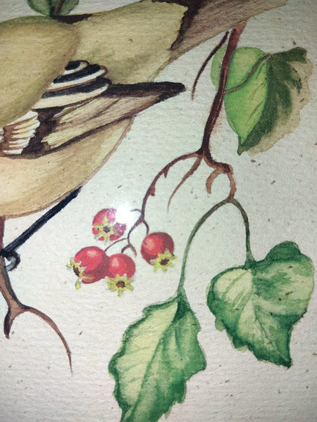 Tasha Tudor Original Vintage Antique America Illustration Watercolor Rockefeller Christmas "Golden - Crowned Kinglet" With Holly Watercolor Painting