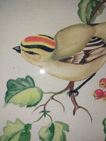 Tasha Tudor Original Vintage Antique America Illustration Watercolor Rockefeller Christmas "Golden - Crowned Kinglet" With Holly Watercolor Painting