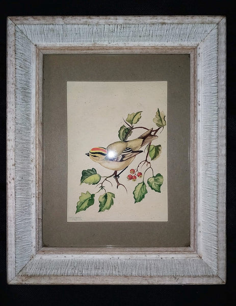 Tasha Tudor Original Vintage Antique America Illustration Watercolor Rockefeller Christmas "Golden - Crowned Kinglet" With Holly Watercolor Painting