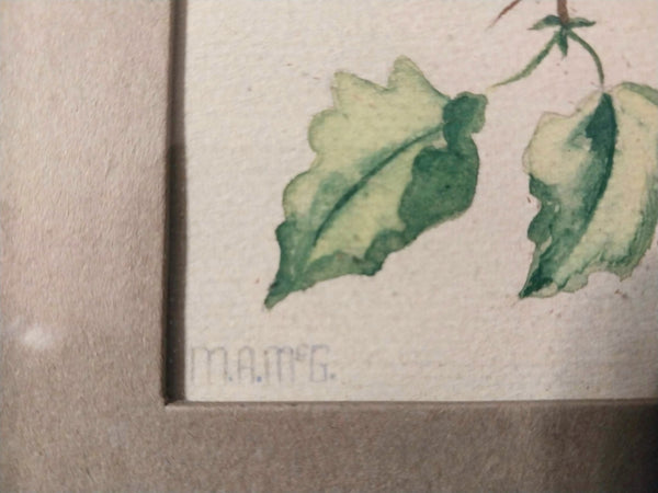 Tasha Tudor Original Vintage Antique America Illustration Watercolor Rockefeller Christmas "Golden - Crowned Kinglet" With Holly Watercolor Painting