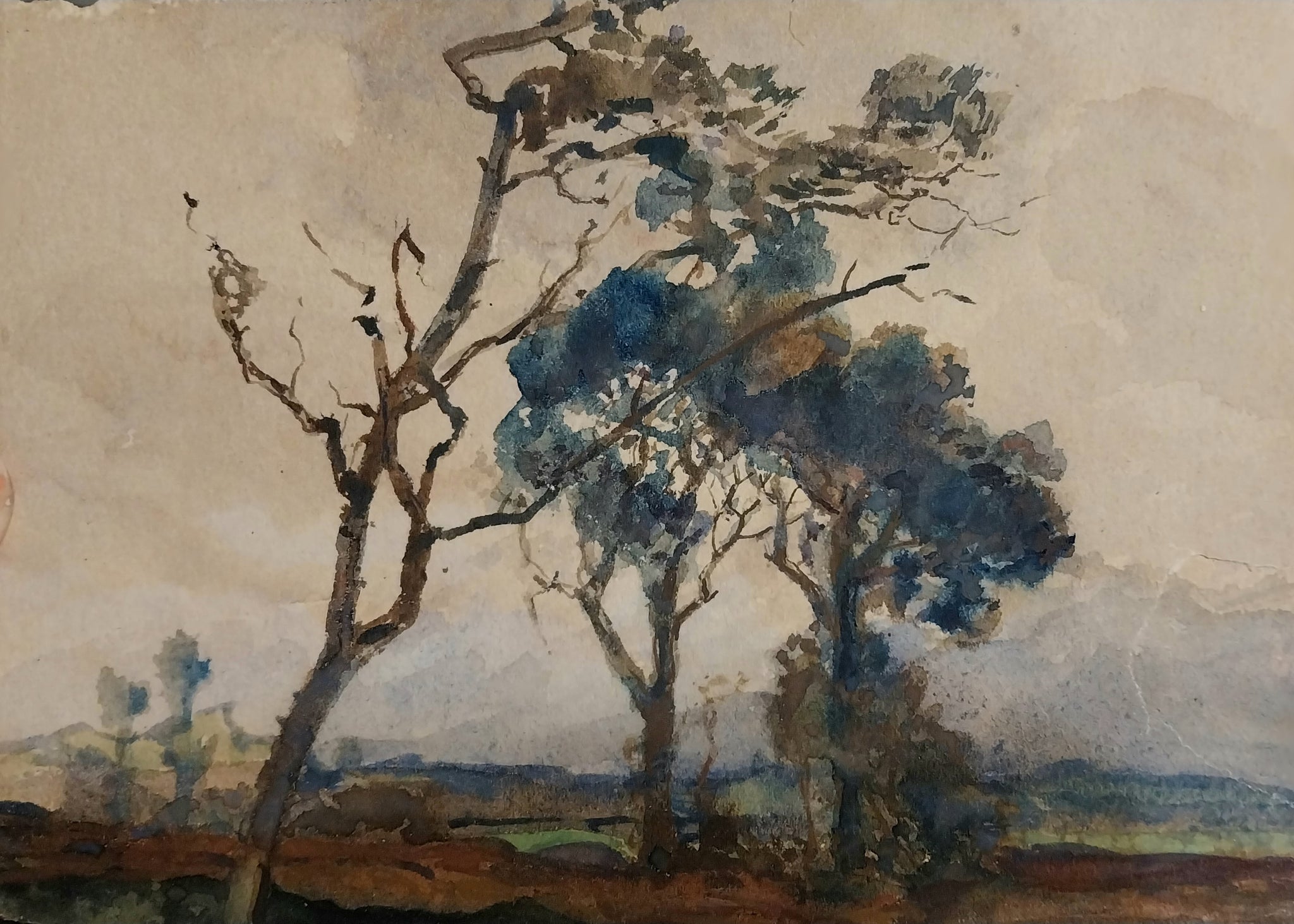 Henry Percy Gray Original Antique Monterey California Cypress Tree American Tonalism Landscape Watercolor Painting
