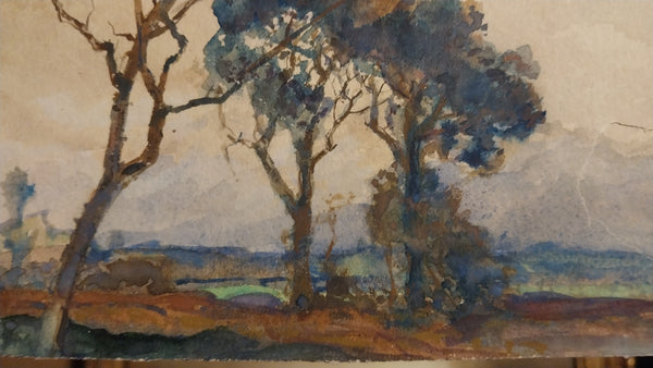 Henry Percy Gray Original Antique Monterey California Cypress Tree American Tonalism Landscape Watercolor Painting