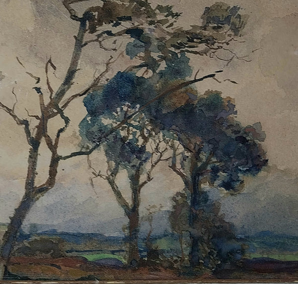 Henry Percy Gray Original Antique Monterey California Cypress Tree American Tonalism Landscape Watercolor Painting