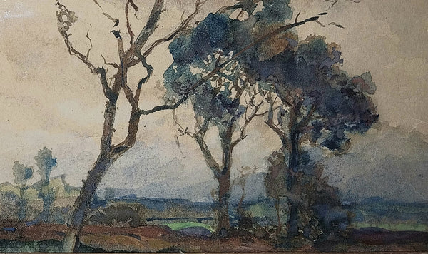 Henry Percy Gray Original Antique Monterey California Cypress Tree American Tonalism Landscape Watercolor Painting
