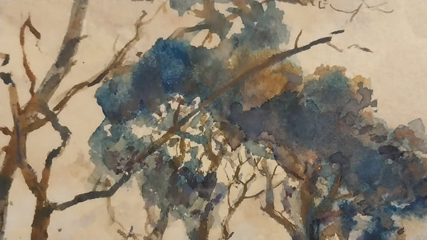 Henry Percy Gray Original Antique Monterey California Cypress Tree American Tonalism Landscape Watercolor Painting