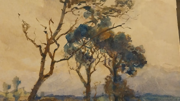 Henry Percy Gray Original Antique Monterey California Cypress Tree American Tonalism Landscape Watercolor Painting