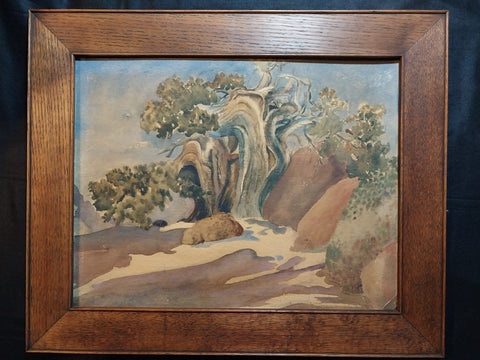 Maynard Dixon Original Vintage Antique American Western Modern California Landscape Watercolor Painting "Ancient Juniper" "For Whom the Bell Tolls"